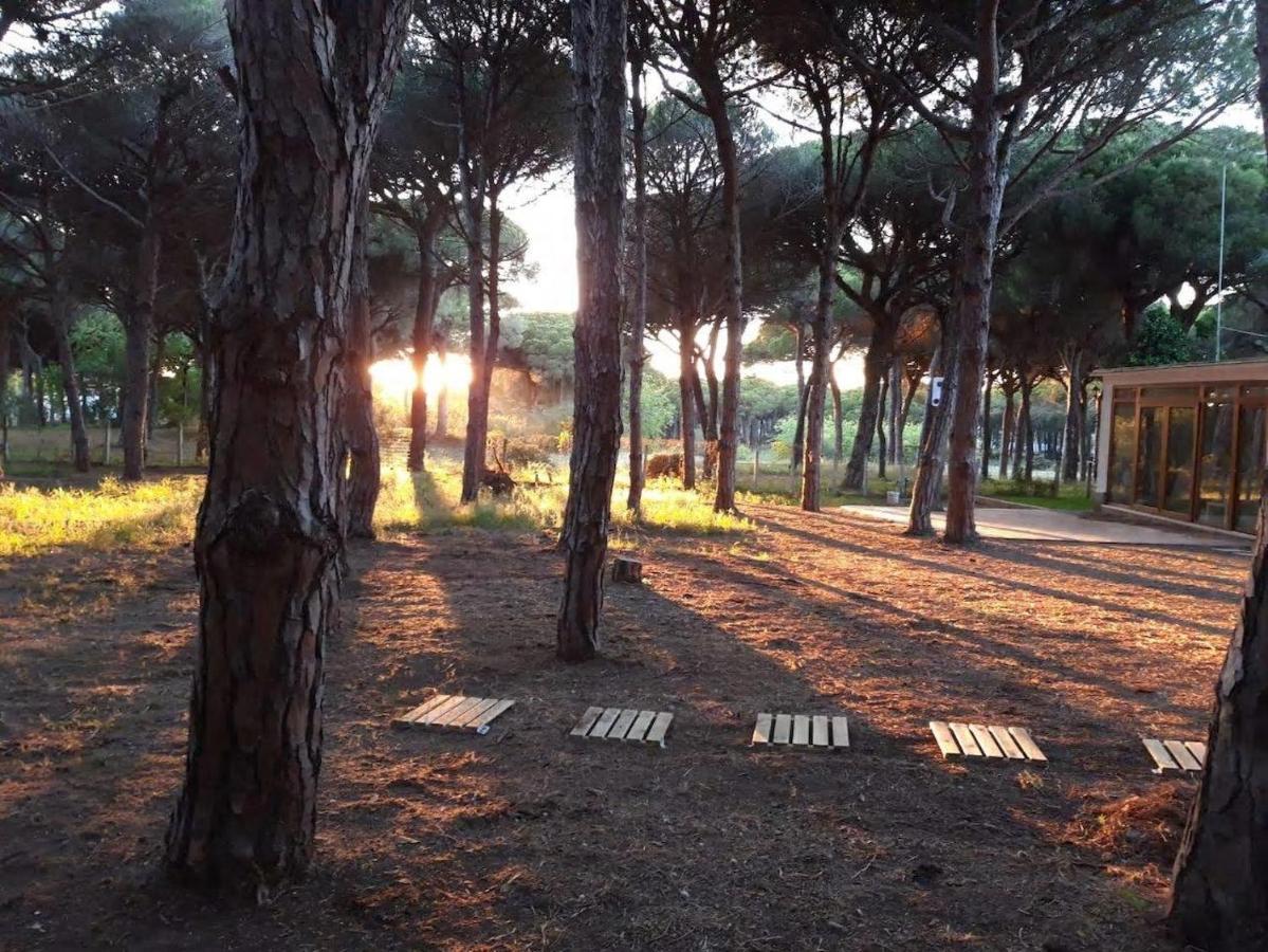 The Pineforest Cabin Chiclana de la Frontera Kültér fotó