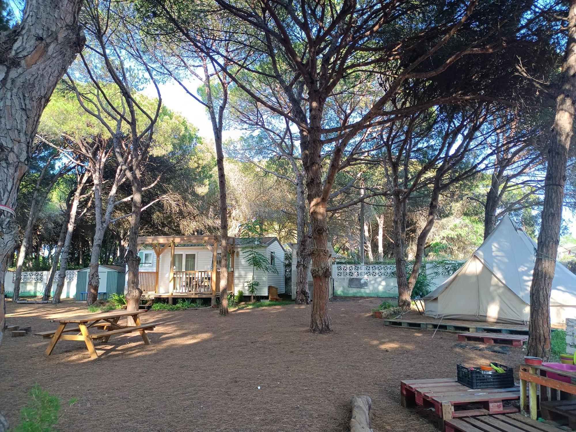 The Pineforest Cabin Chiclana de la Frontera Kültér fotó